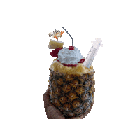 Dole Whip Pineapple Sticker by The Crab Place