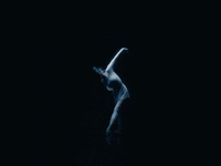 Dancer Ballet GIF by thuy