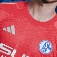 Football Soccer GIF by FC Schalke 04