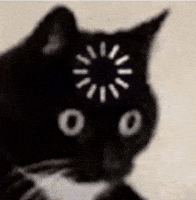 Not Understanding What Is This GIF