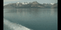 Climate Change Education GIF by DIIMSA Stock