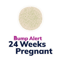 24 Weeks Pregnancy Sticker by The Bump