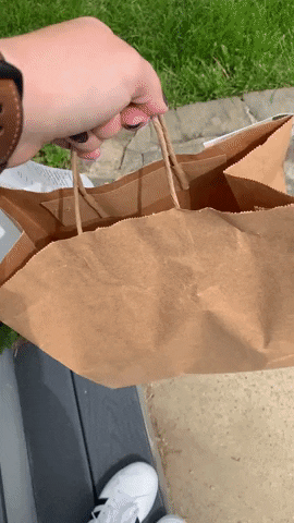 BCSIntern giphyupload GIF