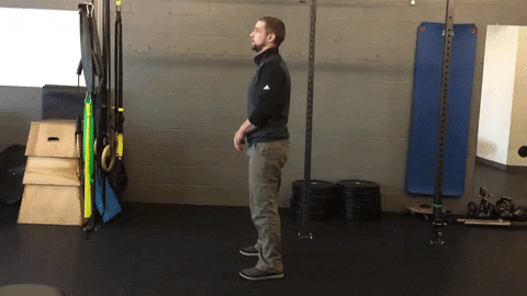 therapydia giphyupload squats at home workout tabata air squats GIF