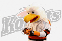 hockey bird GIF by Fort Wayne Komets