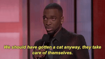 american music awards we should have gotten a cat anyway GIF by AMAs