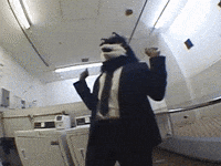 Wolf Bass GIF by IDK