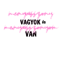 Gay Menyasszony Sticker by WeddingVibes