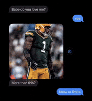 Green Bay Packers GIF