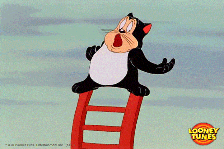scared cat GIF by Looney Tunes