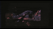 Feels Music Video GIF by Ambré