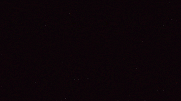 Portrait Yearbook GIF by Originals