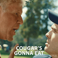 Roasting Will Ferrell GIF by NETFLIX