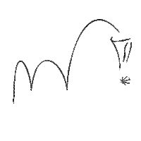 Sport Assist Sticker by Sasso Marconi FT LAB