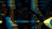 Video Art GIF by cskonopka
