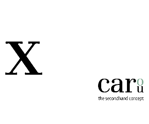 Valentine Love Sticker by carou