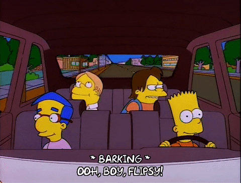 driving bart simpson GIF
