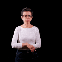 Czech Republic Cesko GIF by Česká pirátská strana