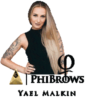 Phibrows Powderbrows Sticker by Yael Malkin