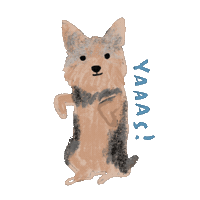 Yassss Sticker by Andrea Caceres