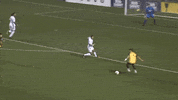 El Tri Dance GIF by Charleston Battery