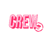 Behind The Scenes Crew Sticker by STOM Productions