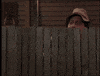 neighbors GIF