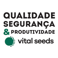 Seed Semente Sticker by Bela Sementes