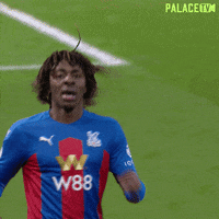 Premier League Soccer GIF by CPFC
