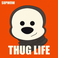 supwow fun meme cool sunglasses GIF
