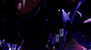 Purple Hat GIF by SOFI TUKKER
