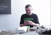 garyvee cards searching garyvee collector GIF