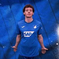 Sport Bundesliga GIF by TSG Hoffenheim