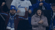 Football Applause GIF by FC Schalke 04