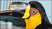 3D Bird GIF by The World