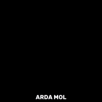 Orkun Kokcu GIF
