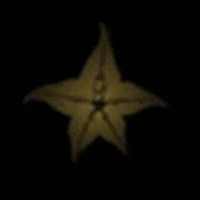 Gifitup2025 GIF by GIF IT UP