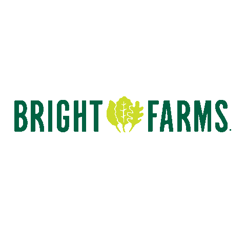 Salad Lettuce Sticker by BrightFarms