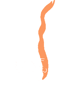 NudeWine nudewine drinknude drinkupthegoodlife blushedwhite Sticker