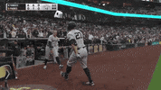 Celebrate Major League Baseball GIF by MLB