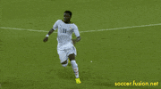 Jermaine Jones Fight GIF by Fusion