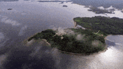 curse of oak island GIF by History UK