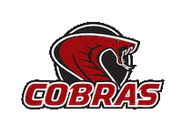 Southwestern University Sport Sticker