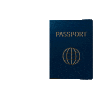 Destination X Travel Sticker by Capital One