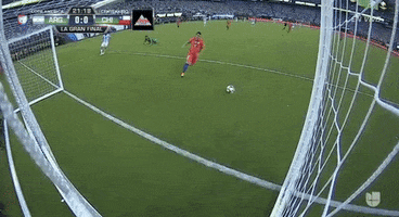 copa america centenario argentina GIF by Univision Deportes