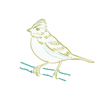Sticker by Pupila Nativa