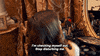 real housewives GIF by RealityTVGIFs