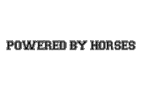 Horses Sticker by Marina Layton