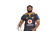 Rugby Sticker by Wasps