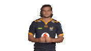 Rugby Sticker by Wasps